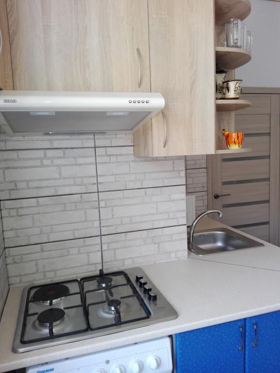 Apartment On Kryvorizhstal Street 35-24 Krivoj Rog Eksteriør bilde